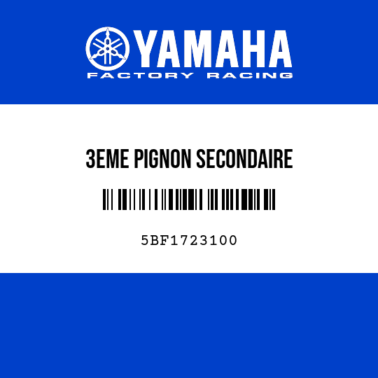 3EME PIGNON SECONDAIRE