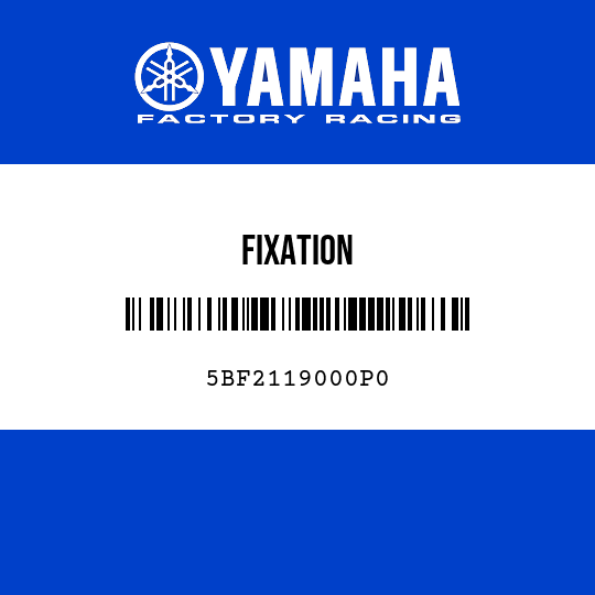 FIXATION