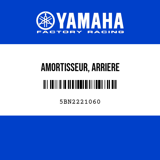 AMORTISSEUR, ARRIERE