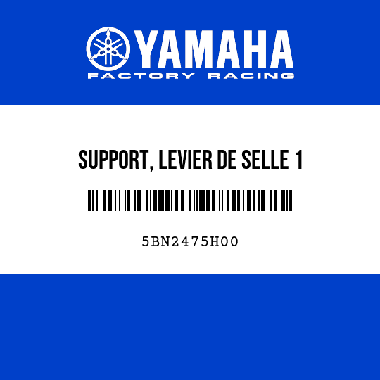 SUPPORT, LEVIER DE SELLE 1