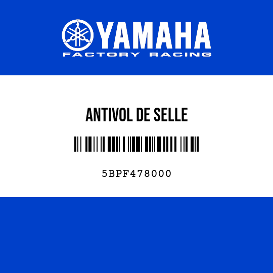 ANTIVOL DE SELLE