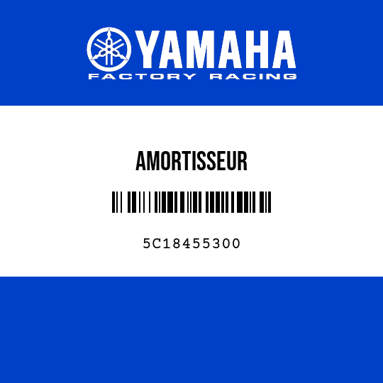 AMORTISSEUR