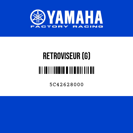 RETROVISEUR (G)