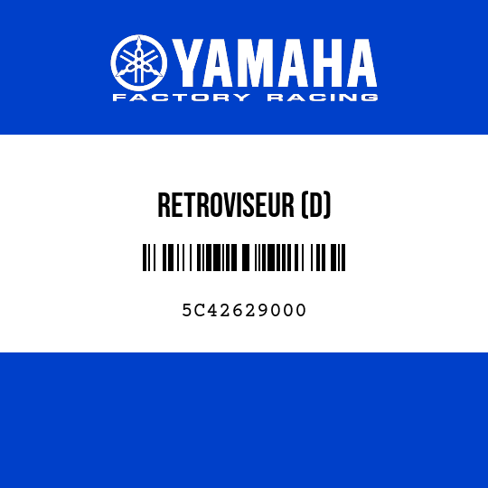 RETROVISEUR (D)