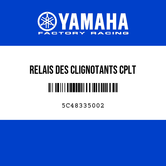 RELAIS DES CLIGNOTANTS CPLT
