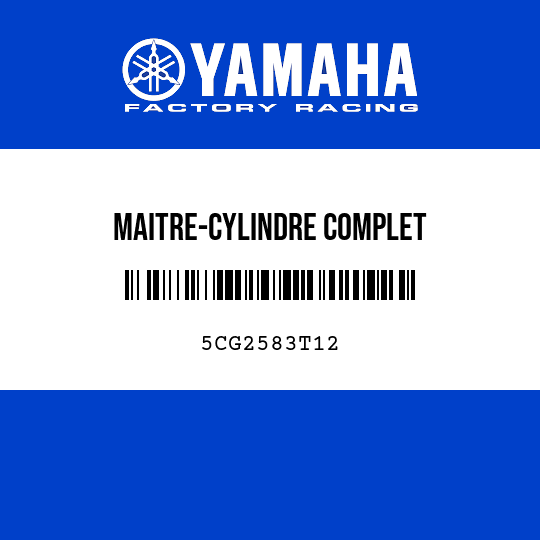MAITRE-CYLINDRE COMPLET