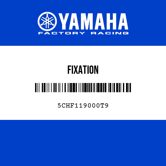 FIXATION