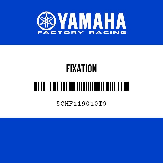 FIXATION