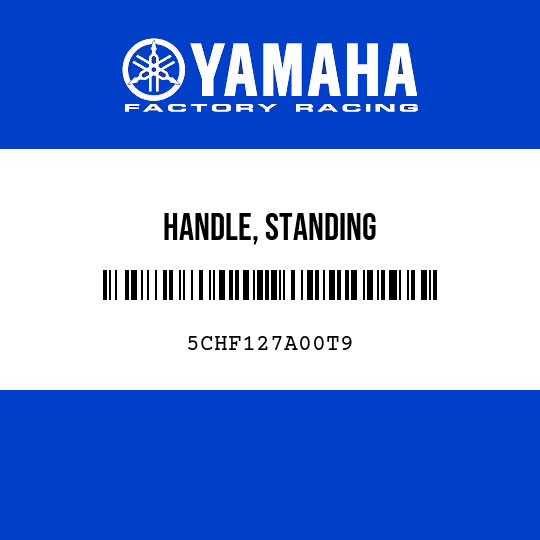 HANDLE, STANDING