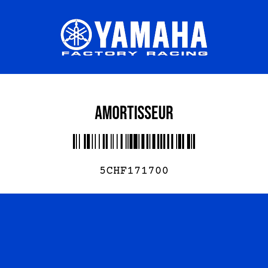 AMORTISSEUR