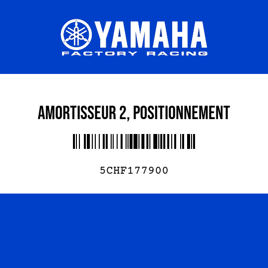 AMORTISSEUR 2, POSITIONNEMENT