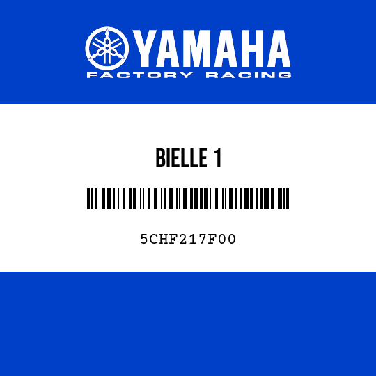 BIELLE 1