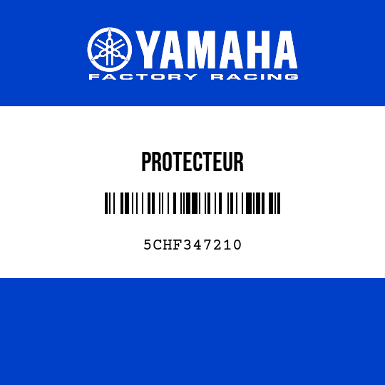PROTECTEUR