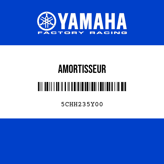 AMORTISSEUR