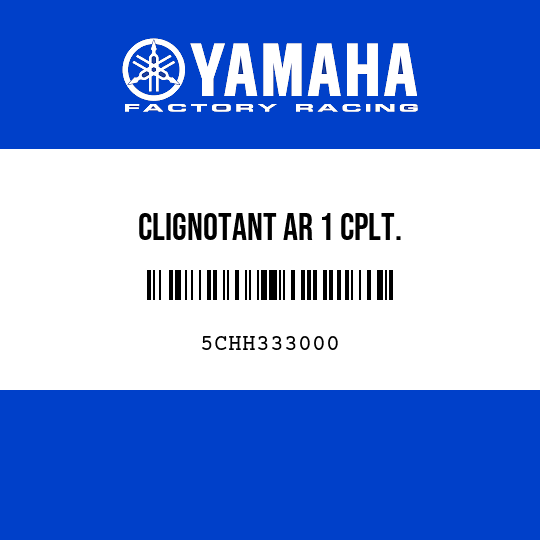CLIGNOTANT AR 1 CPLT.