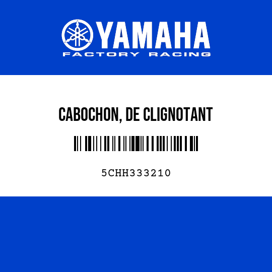 CABOCHON, DE CLIGNOTANT