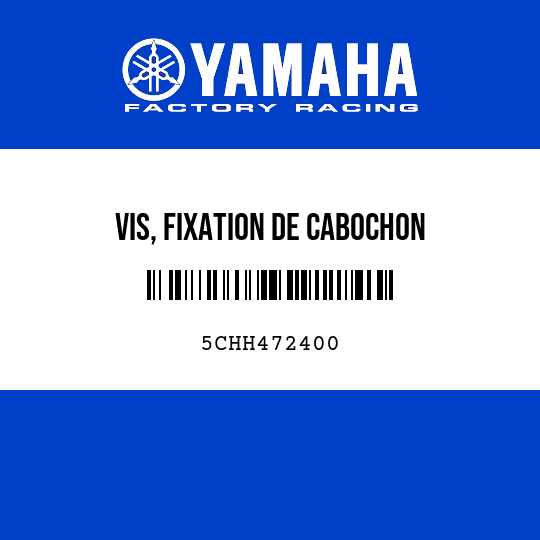 VIS, FIXATION DE CABOCHON