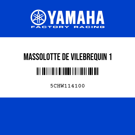 MASSOLOTTE DE VILEBREQUIN 1