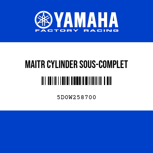 MAITR CYLINDER SOUS-COMPLET
