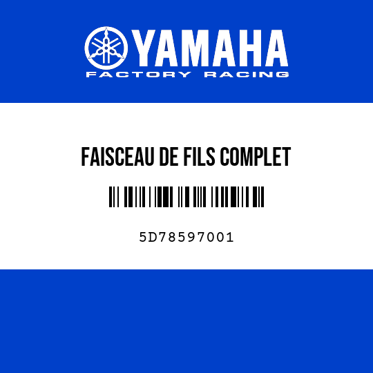 FAISCEAU DE FILS COMPLET