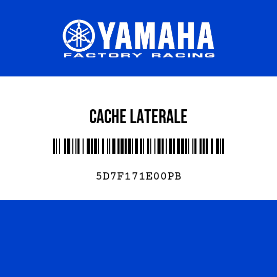CACHE LATERALE