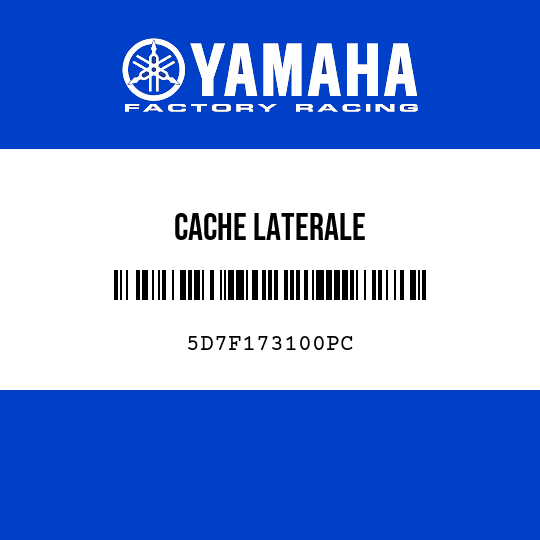 CACHE LATERALE