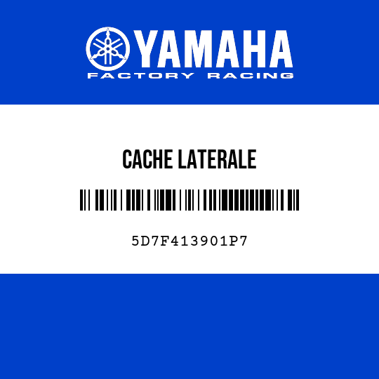 CACHE LATERALE