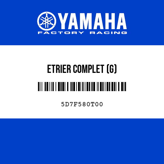 ETRIER COMPLET (G)
