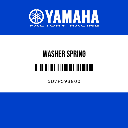 WASHER SPRING