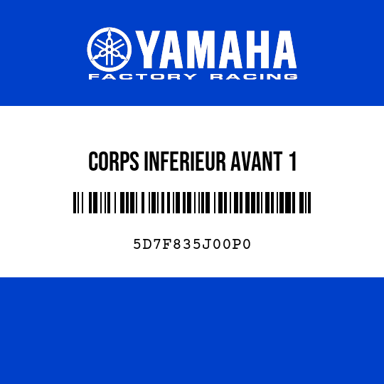 CORPS INFERIEUR AVANT 1
