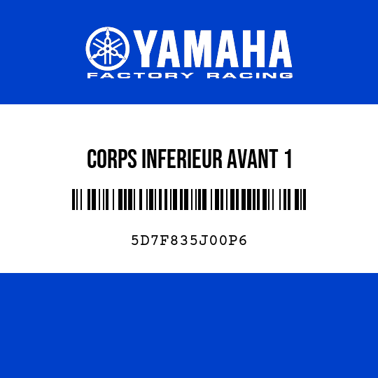 CORPS INFERIEUR AVANT 1