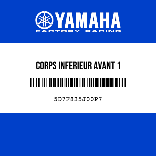 CORPS INFERIEUR AVANT 1