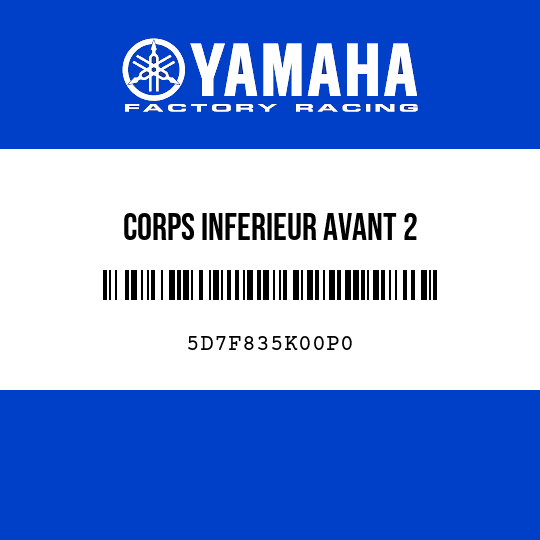 CORPS INFERIEUR AVANT 2