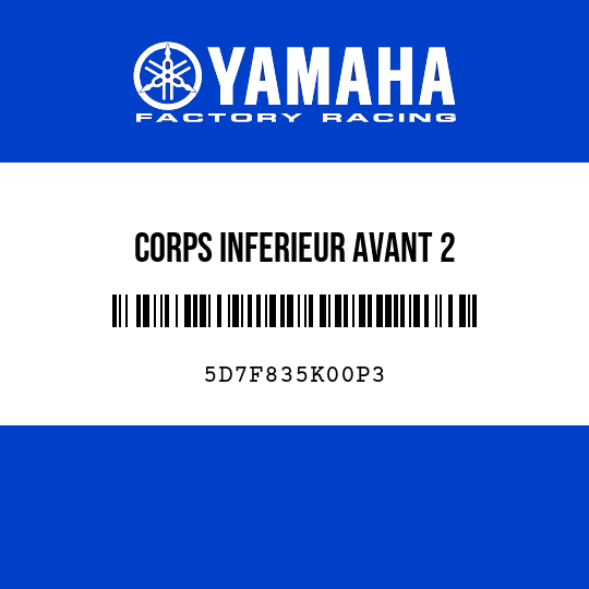 CORPS INFERIEUR AVANT 2