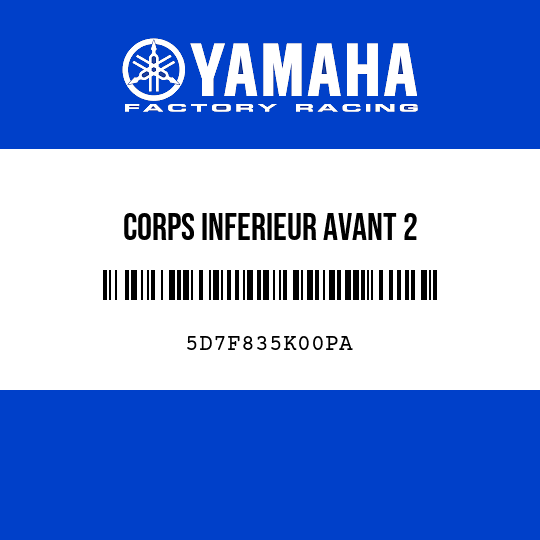 CORPS INFERIEUR AVANT 2