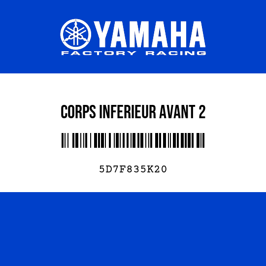 CORPS INFERIEUR AVANT 2