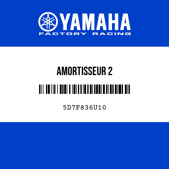 AMORTISSEUR 2