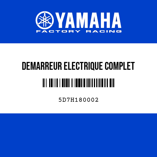 DEMARREUR ELECTRIQUE COMPLET