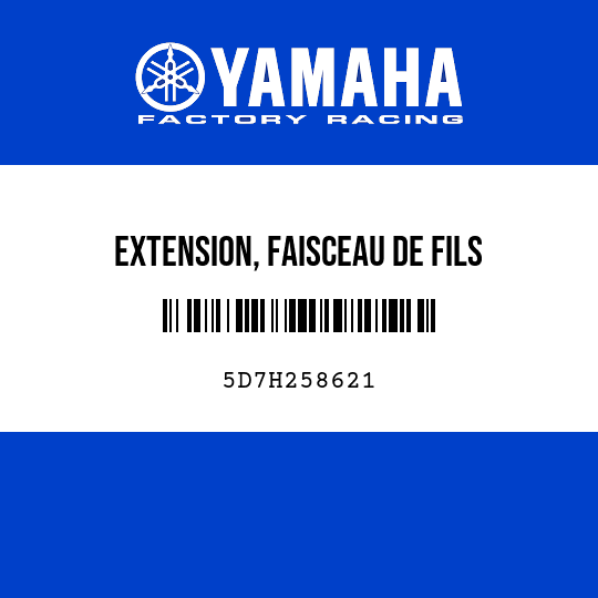 EXTENSION, FAISCEAU DE FILS