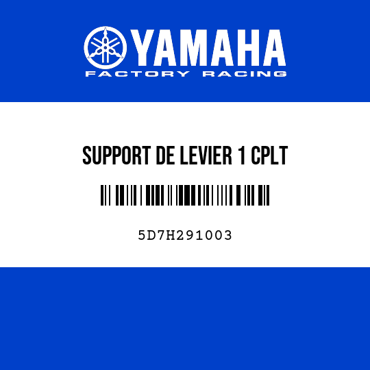 SUPPORT DE LEVIER 1 CPLT