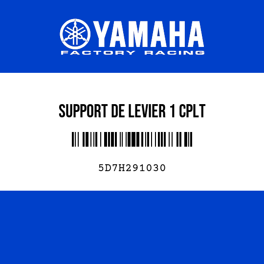 SUPPORT DE LEVIER 1 CPLT