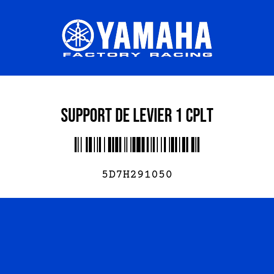 SUPPORT DE LEVIER 1 CPLT