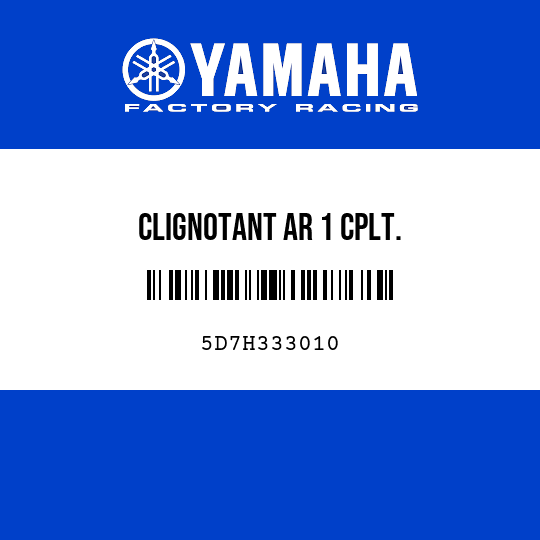 CLIGNOTANT AR 1 CPLT.