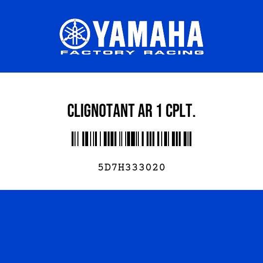 CLIGNOTANT AR 1 CPLT.