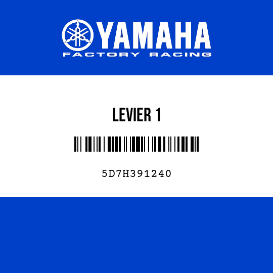LEVIER 1