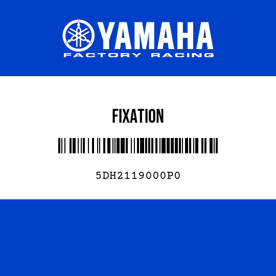 FIXATION