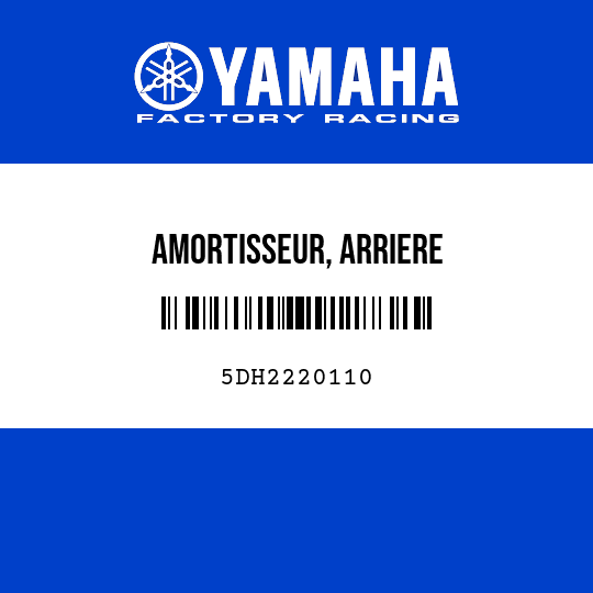 AMORTISSEUR, ARRIERE