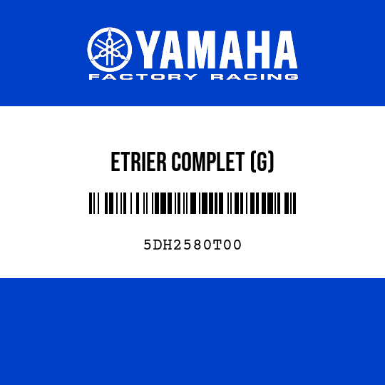 ETRIER COMPLET (G)