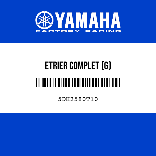 ETRIER COMPLET (G)