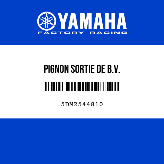 PIGNON SORTIE DE B.V.
